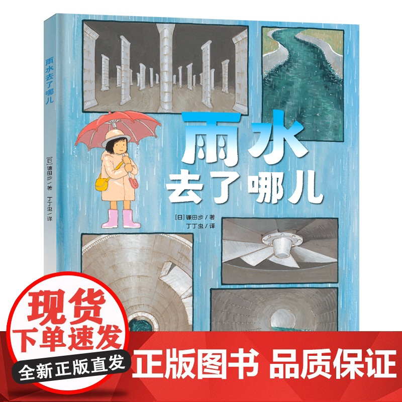 雨水去了哪儿 6-9岁儿童科普交通工具绘本让孩子充分认识作为城市基础设施的雨水管道系统画风写实故事流畅的精美绘本正版