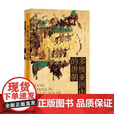 多极亚洲中的唐朝 王贞平 著 历史