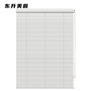 东升美辰 铝合金百叶遮光窗帘 (尺寸可定制) DS-JF124 平方米