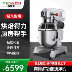 意黛斯(YIDAISI)和面机商用 厨师搅拌机 打蛋机器鲜奶打发奶油机 食堂 多功能三合一YDS-BM10