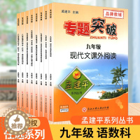 [醉染正版]孟建平初中专题突破九年级上册下册通用语文数学科学全国通用版题组分类训练重点难点考题题型分析中考题解析期末统考