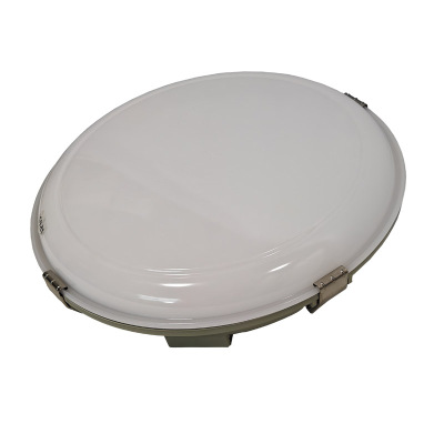 LHDQ 领航电器 LED三防吸顶灯 LHF2920C 24W 220V 冷光6000K IP65