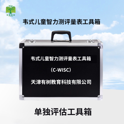 有树 YSXL-WISC 韦氏儿童智力量表C-WISC 第三版减压工具箱早教教具