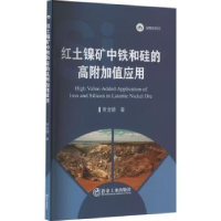 音像红土镍矿中铁和硅的高附加值应用常龙娇著