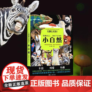 儿童纸上纪录片小自然 波点童趣 一整本的高清大图 给孩子的视觉盛宴 少儿科普绘本百科全书课外读物绘本漫画 花山文艺出版社