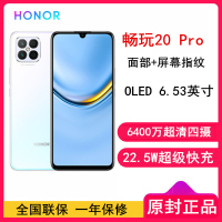 [全国联保]荣耀畅玩20 Pro 8GB+128GB 冰岛幻境 全网通4G版 屏幕指纹 OLED 6.53英寸大屏幕智能手机