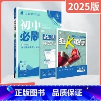 数学[沪科版] 九年级下 [正版]2025春适用初中九年级下册数学HK沪科版杨文彬中考专项集训9年级下上海科技同步课时作