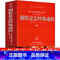 [正版]钢铁是怎样炼成的初中原版原著八年级初中生下册原版完整版导读版人民教育书籍刚铁是怎么炼成的文学小说山东画报出版社
