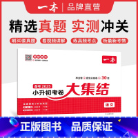 语文 小学升初中 [正版]25新小升初总复习分类试卷 小学毕业升学考卷大集结 语文数学英语小升初真题试卷小学毕业升学考试
