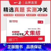 语文 小学升初中 [正版]25新小升初总复习分类试卷 小学毕业升学考卷大集结 语文数学英语小升初真题试卷小学毕业升学考试