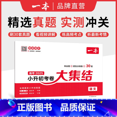 语文 小学升初中 [正版]25新小升初总复习分类试卷 小学毕业升学考卷大集结 语文数学英语小升初真题试卷小学毕业升学考试