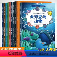 [共10本]小牛顿的第一套科普绘本 [正版]全套10册儿童绘本阅读幼儿园3到6一8岁幼儿图书亲子共读读物适合大班中班小班