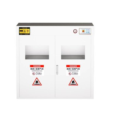 不锈钢气瓶柜 304矮双瓶液化气报警
