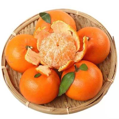 鲜贝达 精选武鸣沃柑9斤装[单果60mm以上]水果VC柑橘