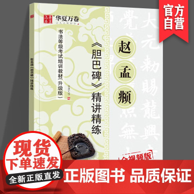 正版现货 楷书行书字帖赵孟頫胆巴碑毛笔字帖初高中成人儿童练字帖书法入门教程精讲精练 华夏万卷 湖南美术出版社