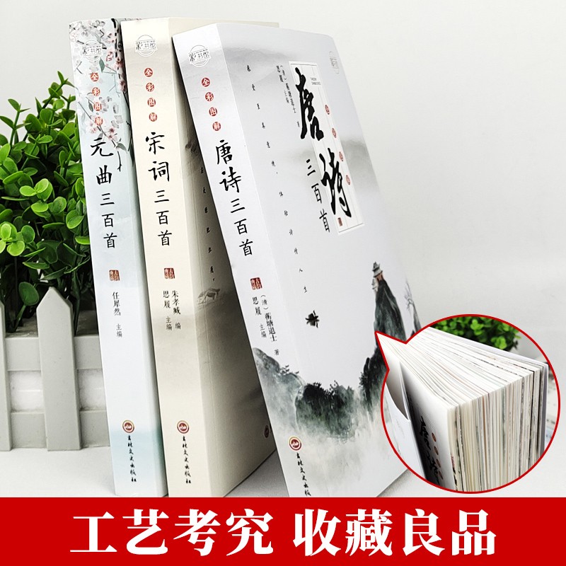 [全2册]唐诗+宋词 [正版]唐诗宋词元曲三百首全套3册小学生必背古诗词鉴赏大全全唐诗集诗歌注释译文小古文唐诗词典国学精