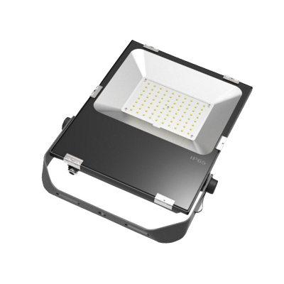 格瑞达 LED投光灯 GS7203-100W 个