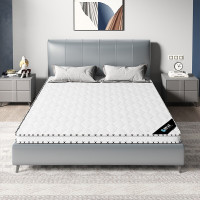 域赢椰棕床垫宿舍学生单人床垫上下铺公寓寝室学校棕榈垫1900*1000*50