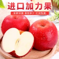 [西沛生鲜]新西兰进口gala加力苹果 8粒装 单果140g-160g 皇后甜脆苹果