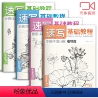 [正版]速写基础教程套装植物动物风景人物视频同步教程