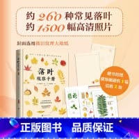 [正版]落叶观察手册