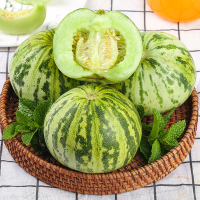 [西沛生鲜]新鲜花蕾甜瓜 净重4.5斤