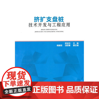 挤扩支盘桩技术开发与工程应用 徐至钧 中国建筑工业出版社 正版书籍