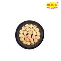 傻实在 电缆 国标全项保检 ZR-YJV 1X120mm² 米