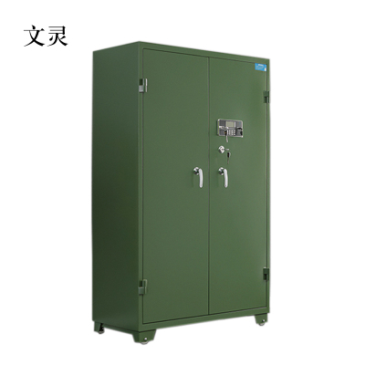 文灵双门存放柜置物柜