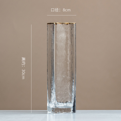北欧轻奢透明玻璃花瓶纳丽雅家居客厅餐桌水培插花现代简约装饰品摆件锤纹金边30*8（透明）