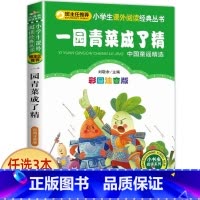 一园青菜成了精 [正版]老师小布头奇遇记孙幼军著注音版一年级二年级三年级必读