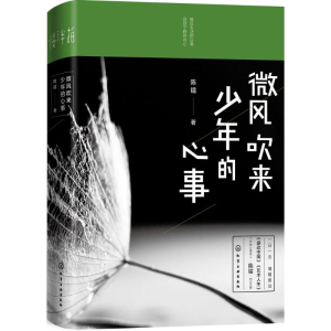 醉染图书微风吹来少年的心事97871210217