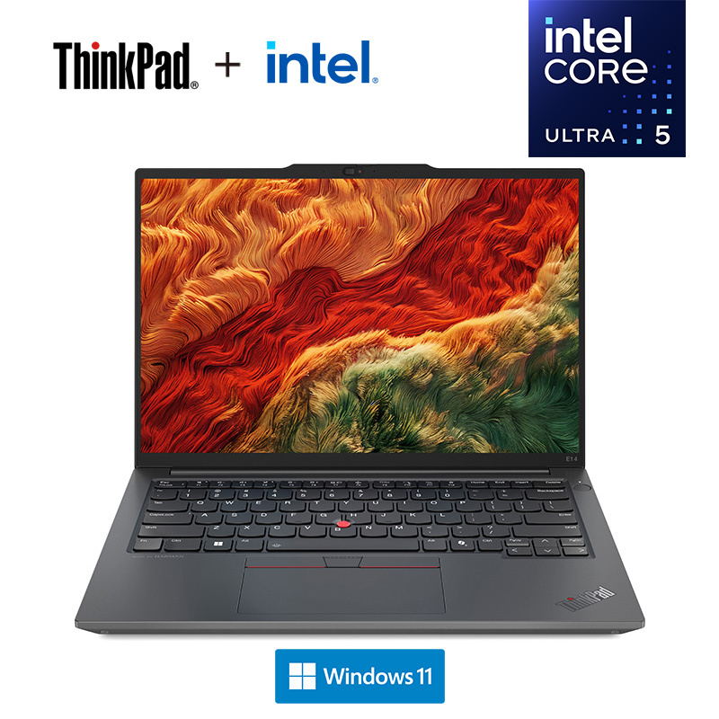 ThinkPad E14 00CD AI 2024 经典商务本 14英寸笔记本电脑 定制英特尔酷睿Ultra 5 125H 64G 1T固态 锐炫Arc显卡 2.2K高色域 黑