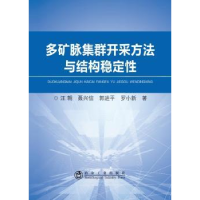 音像多矿脉集群开采方法与结构稳定汪朝,聂兴信,郭 等