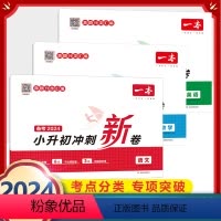 6年级 语文+数学+英语(3册) 小升初冲刺新卷 小学通用 [正版]一本小学期末冲刺新卷语文数学一年级二年级三年级上册下