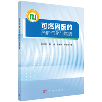 醉染图书可燃固废的热解气化与燃烧9787030728203