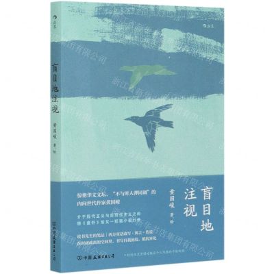 [N]盲目地注视-9787505749313