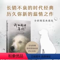 [正版]微瑕书籍我在雨中等你 加思斯坦著 历久弥新的温情之作升级精装典藏版 透过小狗恩佐的眼睛记录人间的冷暖与爱恨的真