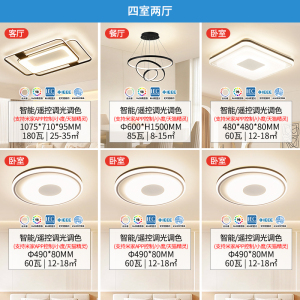 雷士照明吸顶灯环宇