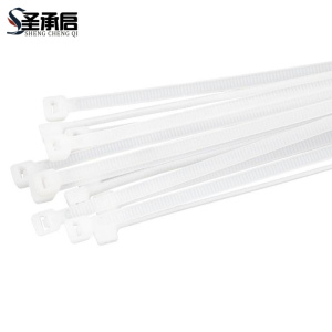 圣承启 扎带 3*100mm根