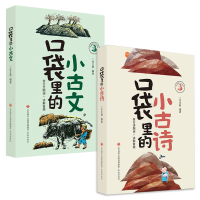 音像口袋里的小古文+小古诗(送布袋)(共2册)朱文君