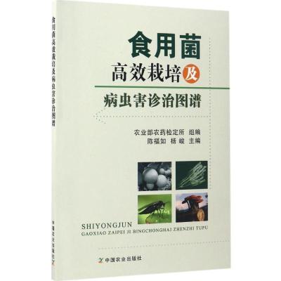正版新书]食用菌高效栽培及病虫害诊治图谱陈福如9787109224117