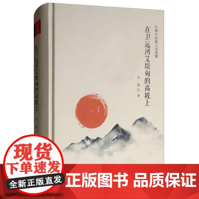 许辉中短篇小说典藏:在卫运河艾墩甸的高坡上