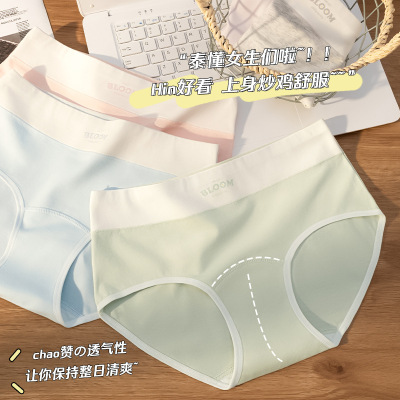 【A类棉】纯棉女士内裤10A加长裆女士内裤纯棉透气内裤女