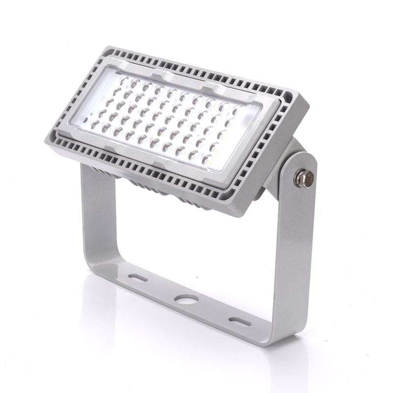 雷森旭 LED投光灯 WF285A 50W 个