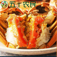 [鲜活大闸蟹]五个农民大闸蟹 3.0两公4只 2.0两母4只 4对装8只