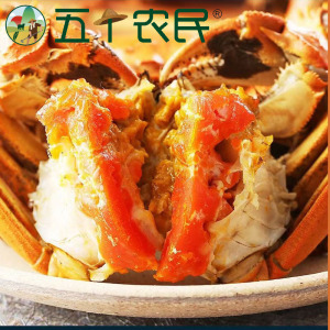 [鲜活大闸蟹]五个农民大闸蟹 3.0两公4只 2.0两母4只 4对装8只
