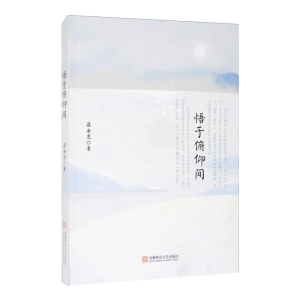 正版新书]悟于俯仰间梁金龙 著9787567635715
