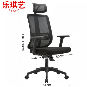 乐琪艺