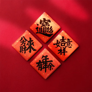 维诺亚中国风感蛇年福字冰箱贴百福图木质磁性装饰磁贴2025送礼佳品